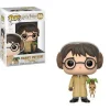 Funko Pop! Harry Potter Vinyl Figures - Select Figure(s)