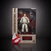 Hasbro Ghostbusters Plasma Series 6-Inch Action Figure - Select Figure(s)