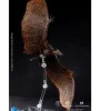 Hiya Toys Godzilla: King of the Monsters (Exquisite Basic) Rodan Flameborn PX Action Figure