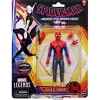 Hasbro Marvel Legends Spider-Man Across The Spider-Verse 6-Inch Action Figure - Select Figure(s)