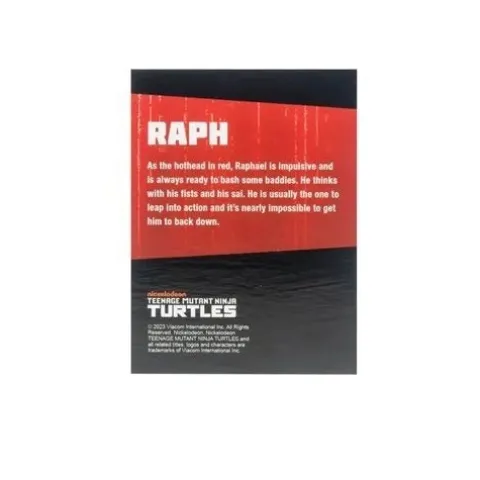 The Loyal Subjects Teenage Mutant Ninja Turtles BST AXN Turtles IDW Comic Black and White 5-Inch Action Figure 4-Pack - SDCC 2023 Exclusive