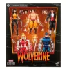 Hasbro Wolverine Marvel Legends Series 6-Inch Action Figure 5-Pack