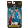 Hasbro X-Men Age of Apocalypse Marvel Legends 6-Inch Action Figure - Select Figure(s)